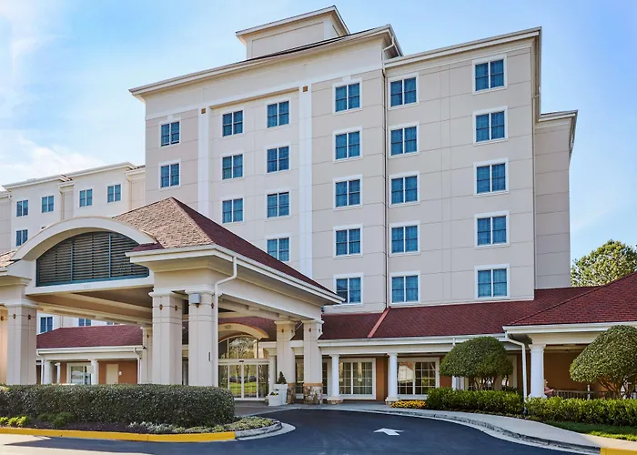 Sonesta Atlanta Airport South Hotel College Park